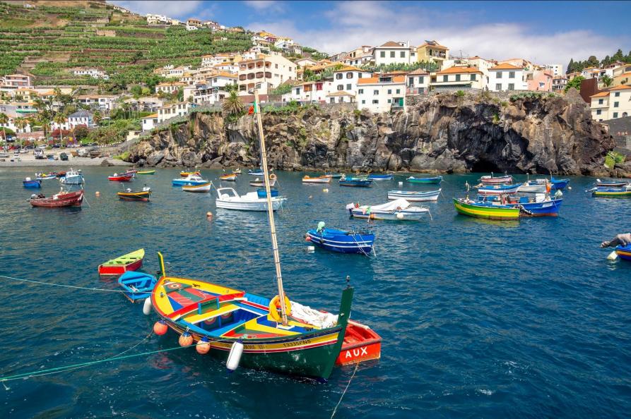 Camara de Lobos - Madeira