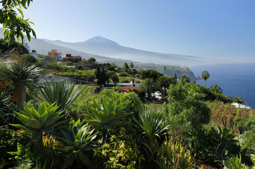 Landelijk Tenerife