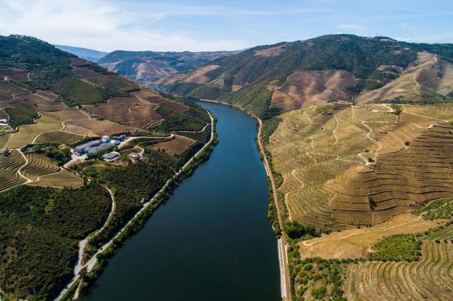 Vila Gale Douro Vineyards | Armamar