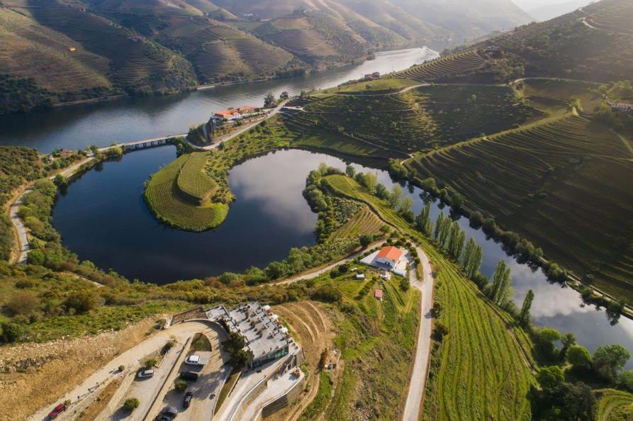 Vila Gale Douro Vineyards | Armamar