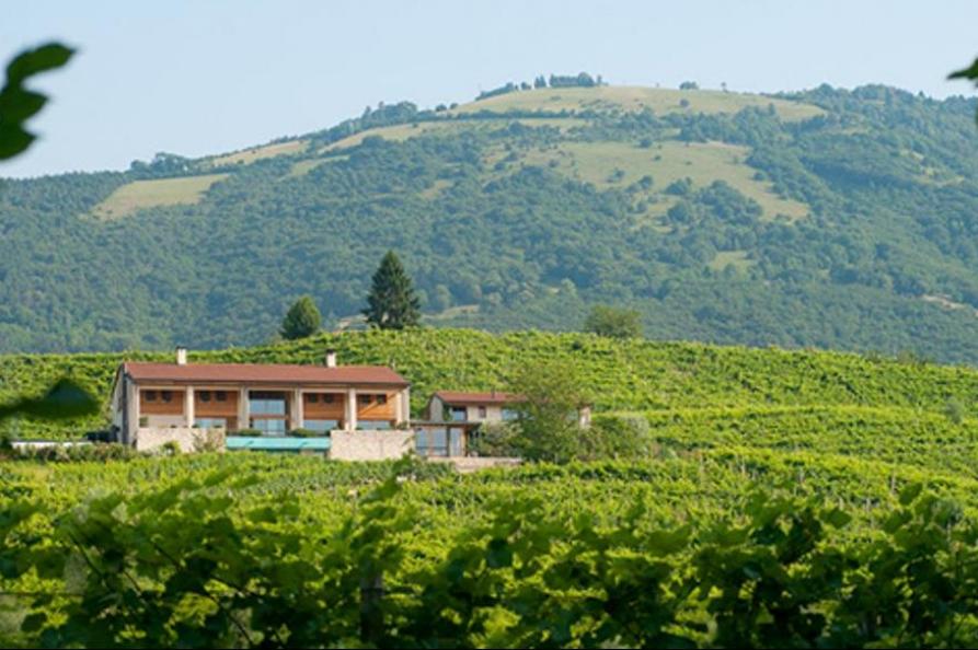 Agriturismo Vedova