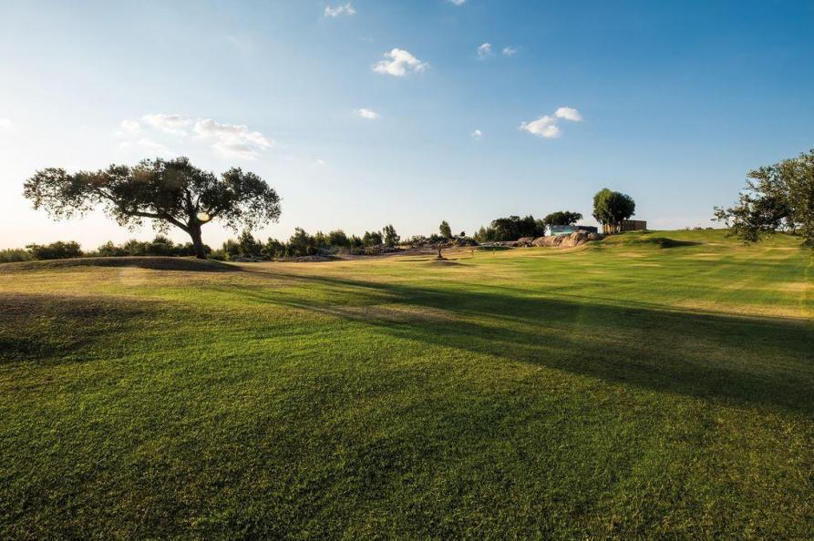 Herdade da Rocha