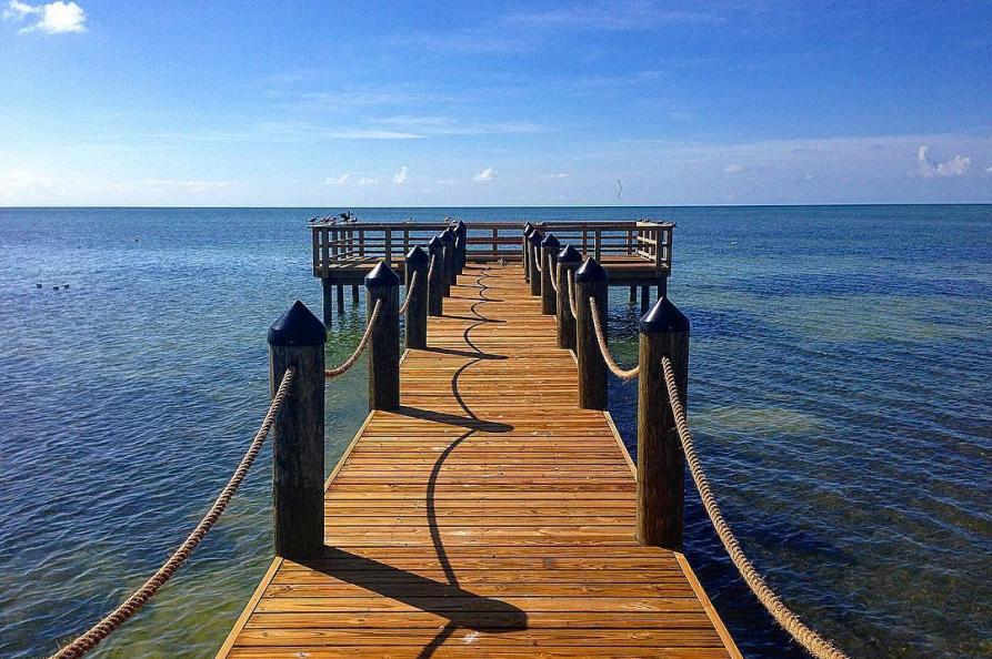 Guy Harvey Outpost Islander Hotel